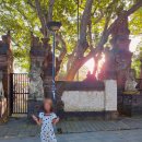 투스톤마켓 | 12박14일 발리 여행 마지막(+사누르 아이콘발리)