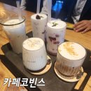 카페코빈즈