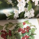 나루세탁 이미지