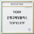 TIGER 은행고배당플러스TOP10 ETF 주가 배당금 종목 전망 이미지