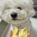 까까멍냥 이미지