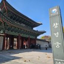 창경궁 홍화문 옆 | [서울 여행] 서울 도심에서 즐기는 단풍 명소, 창경궁