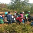 황등초등학교 이미지