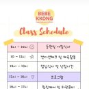 베베꽁 유치원호텔 | 대전 둔산동 애견유치원호텔 찜질방까지 있는 베베꽁 오픈 입학상담 후기 내돈내산