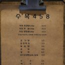 수목458 네이버블로그
