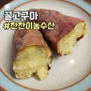 찬찬농장 | 찬찬이농수산 베니하루카 꿀고구마 솔직 후기