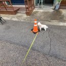 개똥아부탁해 이미지