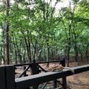 산골짜기 이미지