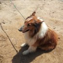 산천가든 이미지