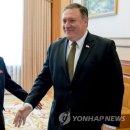 낙동강오리알 이미지