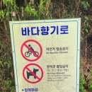 바다향기로 | ［강원도］속초 외옹치 바다향기로 위치·코스·산책 후기