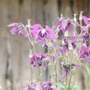 황우농장 이미지