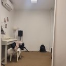 가야노래연습실