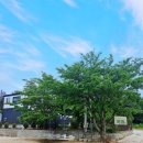 스테이백촌 이미지