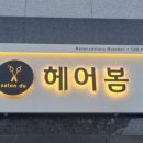 헤어 봄 이미지