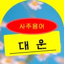 [사주 용어] 대운 이미지