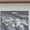 감포무침회 | 경주 감포 일품솥밥 솔직후기(와 생각외로 너무 괜찮네??)