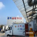 금하순대