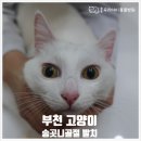 중동우리아이동물병원 이미지