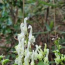 진범 농장 이미지