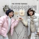 강씨봉자연휴양림 공중화장실 | 가평 가족여행 가볼만한곳 강씨봉자연휴양림 숲해설교실 우드버닝 체험