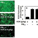 올바로경희한의원 이미지