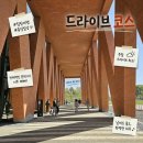 CW-1049-01 | 경기도 화성 갈만한 곳 드라이브 코스 궁평항 매향리생태공원