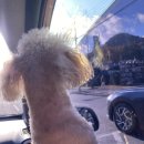 극락둑길 이미지