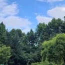 탈랜트미용실 이미지