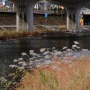 가창면사무소 이미지