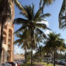 지바 | [칸쿤] 하얏트지바 숙소 후기 | 객실, 수영장, 헬스장, 즐길거리 | 꿀팁 공유