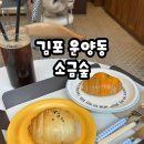 숲 | 김포 운양동 소금숲 후기2 (내돈내산)