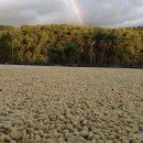 더 로스팅 이미지