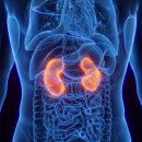 콩콩팥팥내과의원 이미지