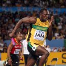 새싹피티 이미지