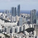 신흥부동산공인중개사사무소 이미지