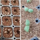 조미영농장 이미지