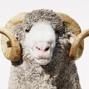 목행약국 | 인데놀 복용 + 에어마카오 외항사 면접 후기