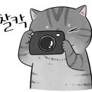 유엔아이소프트 이미지