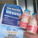 마메네일 이미지