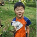 갈릴리어린이집 이미지