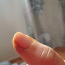 기지시연합의원 이미지