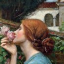 화가와꽃 이미지