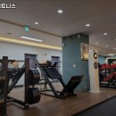 더엠 휘트니스 이미지