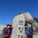 명승고적과 천염기념물의 보고 속리산(俗離山) 이미지