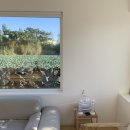 연화하가 이미지