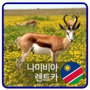 명성렌트카 이미지