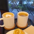 강릉종합운동장_1층 | 강릉카페 젤코바 재방문후기 강릉종합운동장 스콘맛집
