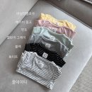 데이푸릇