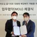아피아피